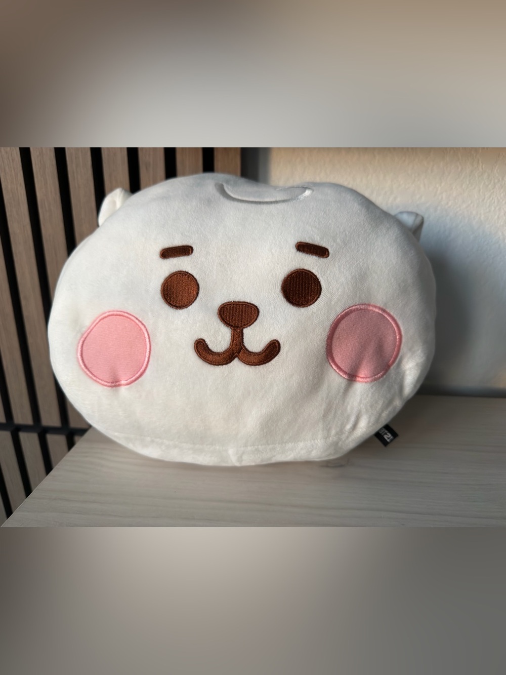Line Friends BT21 Hand Warmer Pillow RJ